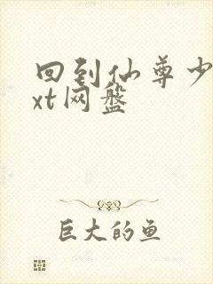 回到仙尊少年txt网盘