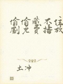 偷偷藏不住电视剧免费播放全集