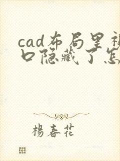 cad布局里视口隐藏了怎么打开