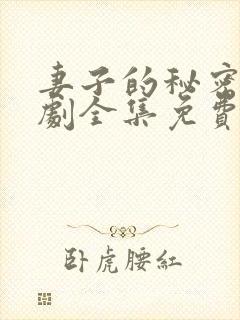 妻子的秘密电视剧全集免费观看第44集