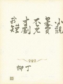 我才不是小可怜短剧免费观看全集