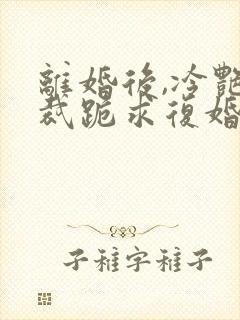 离婚后,冷艳总裁跪求复婚