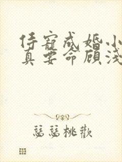 侍宠成婚小甜妻真要命顾浅陆御城