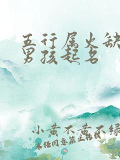 五行属火缺土的男孩起名