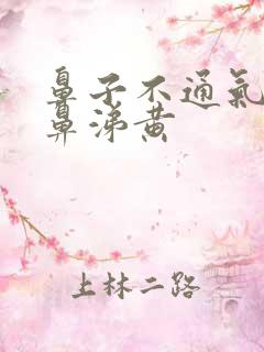 鼻子不通气有浓鼻涕黄