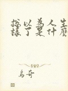 总以为人生就这样了是什么歌