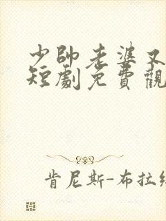 少帅老婆又跑了短剧免费观看高清