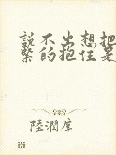 说不出想把你紧紧的抱住是什么歌