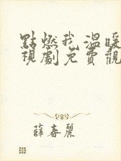 点燃我温暖你电视剧免费观看36集