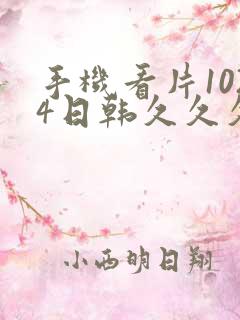 手机看片1024日韩久久久