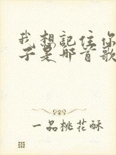 我想记住你的样子是哪首歌的歌词