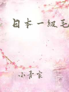 日本一级毛大片
