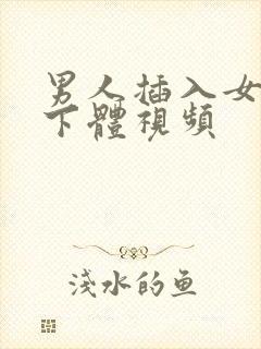 男人插入女人的下体视频