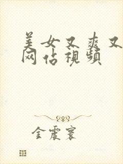 美女又爽又黄的网站视频