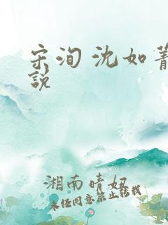 宋洵 沈如菁小说