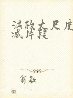 洪欣大尺度未删减片段