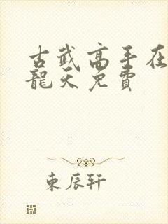 古武高手在都市龙天免费