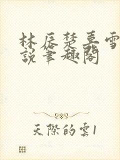 林辰楚嘉雪的小说笔趣阁