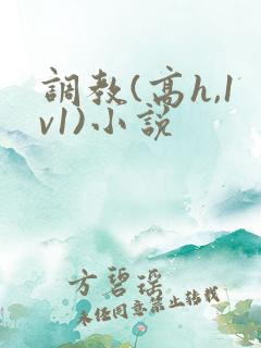 调教(高h,1v1)小说