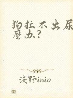 狗拉不出尿该怎么办?