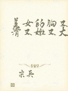 美女的胸又白又滑又嫩又大