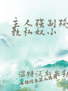 主人强制残忍调教私奴小