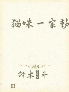 猫咪一家动画片