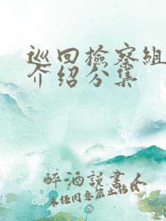 巡回检察组剧情介绍分集