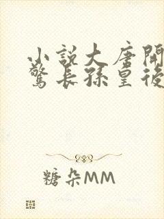 小说大唐开局震惊长孙皇后下载