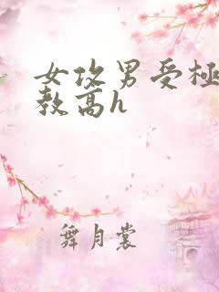 女攻男受极限调教高h