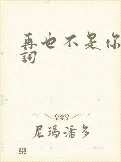 再也不是你的歌词