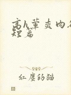 高h荤爽肉欲文短篇