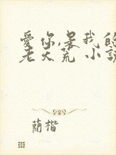 爱你,是我的地老天荒 小说