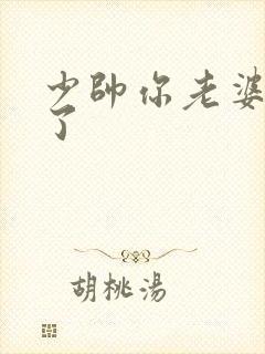 少帅你老婆要跑了