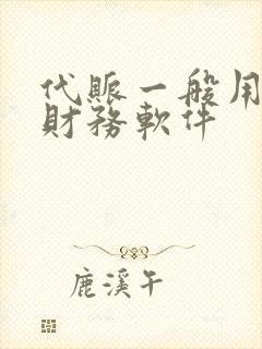 代账一般用什么财务软件