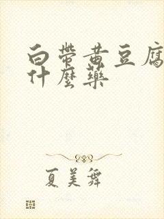 白带黄豆腐渣用什么药