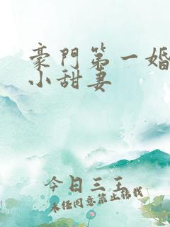 豪门第一婚吻安小甜妻