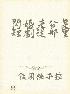 闪婚老公是总裁短剧从哪里看全片