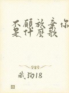 不愿放弃你的爱是什么歌