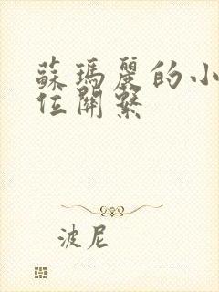 苏玛丽的小说错位关系