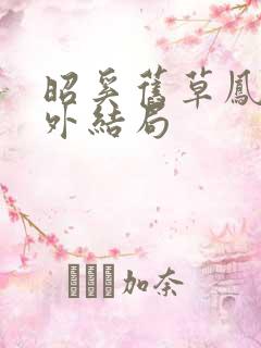 昭奚旧草凤奴番外结局