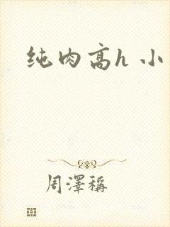 纯肉高h 小说