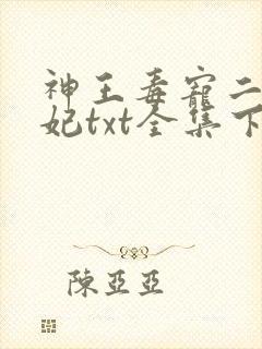 神王毒宠二嫁王妃txt全集下载