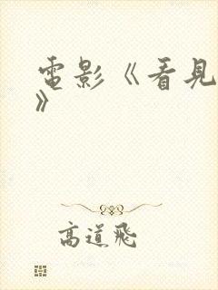 电影《看见恶魔》