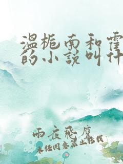 温栀南和霍承钧的小说叫什么名字