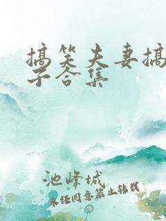 搞笑夫妻搞笑段子合集