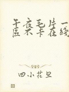 午夜毛片一区二区不卡在线视频