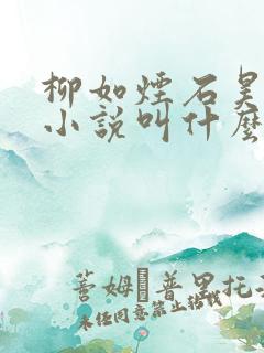 柳如烟石昊石秦小说叫什么名