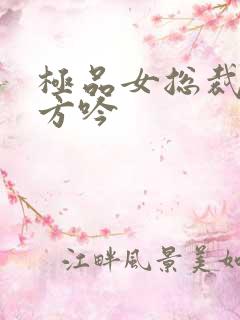 极品女总裁短剧方吟