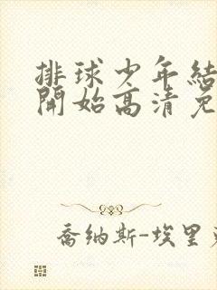 排球少年结束与开始高清免费观看